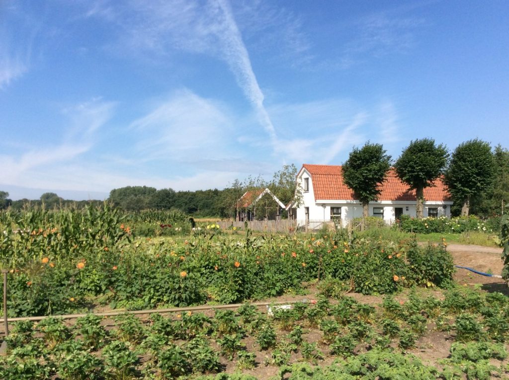 Foto-1-na-restauratie-door-Vivien-Hoekstra