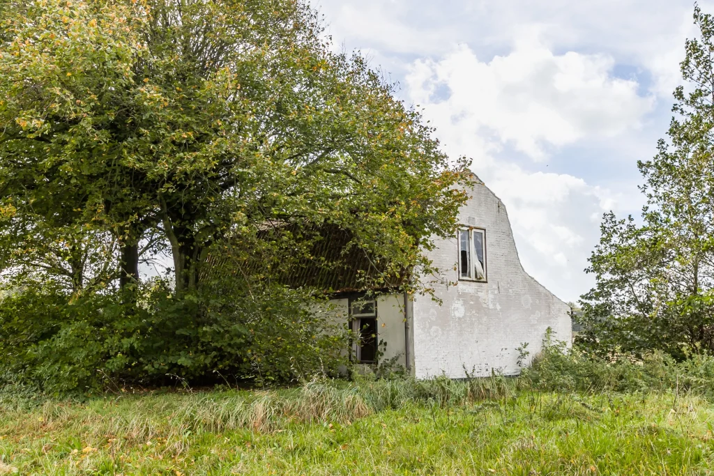 cfc319_36fa48a316014a9da037b3fefbbc8c44