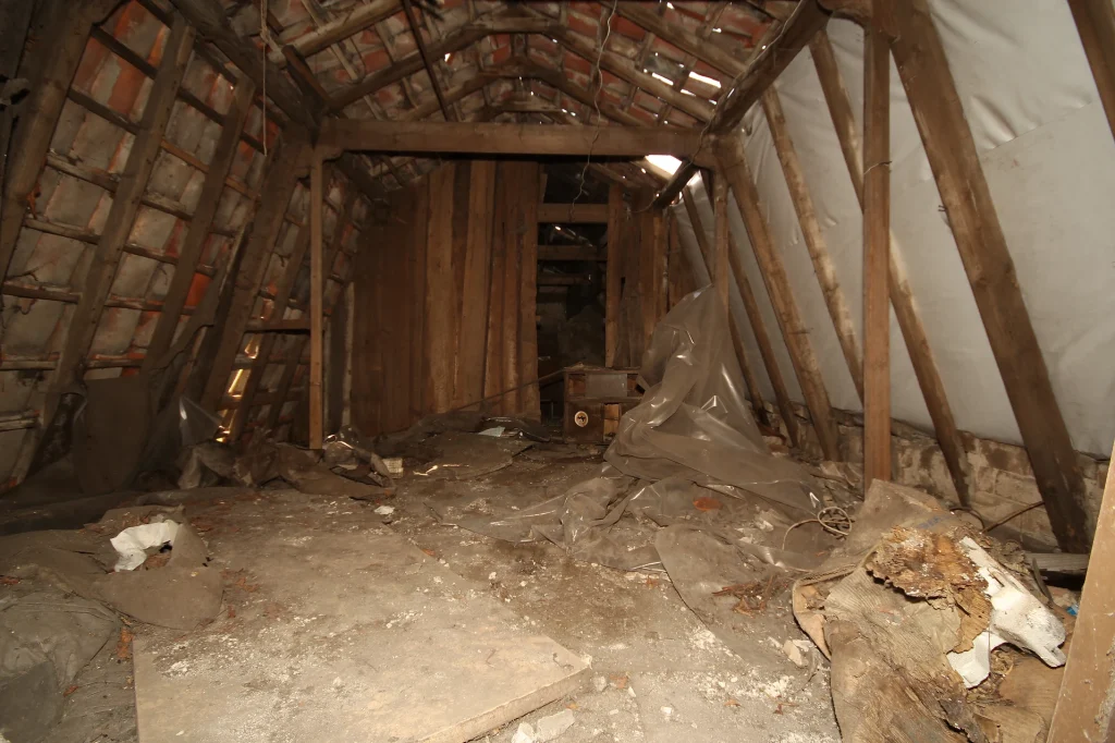 cfc319_90a5366a918c44a39e5b97f5d92c7e1e